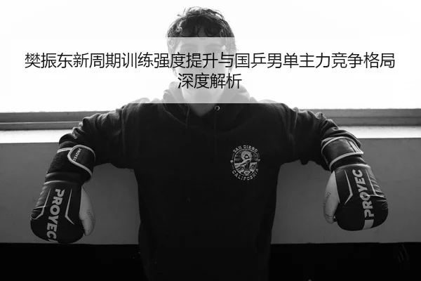 樊振东新周期训练强度提升与国乒男单主力竞争格局深度解析